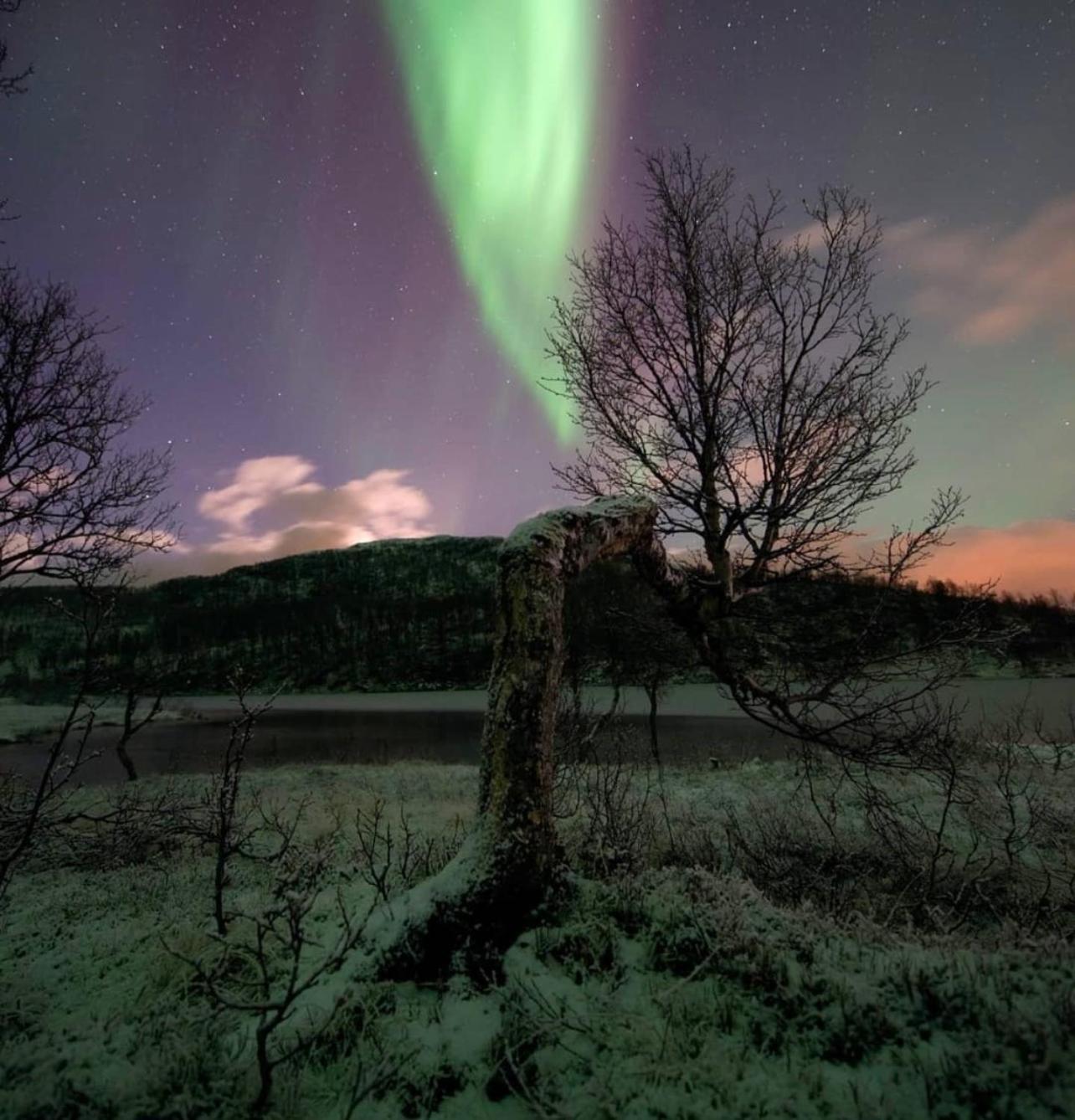 Harstad, All Seasons 외부 사진